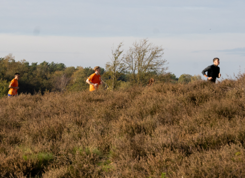 een groep die door de heide rent tijdens de trail run van strong viking